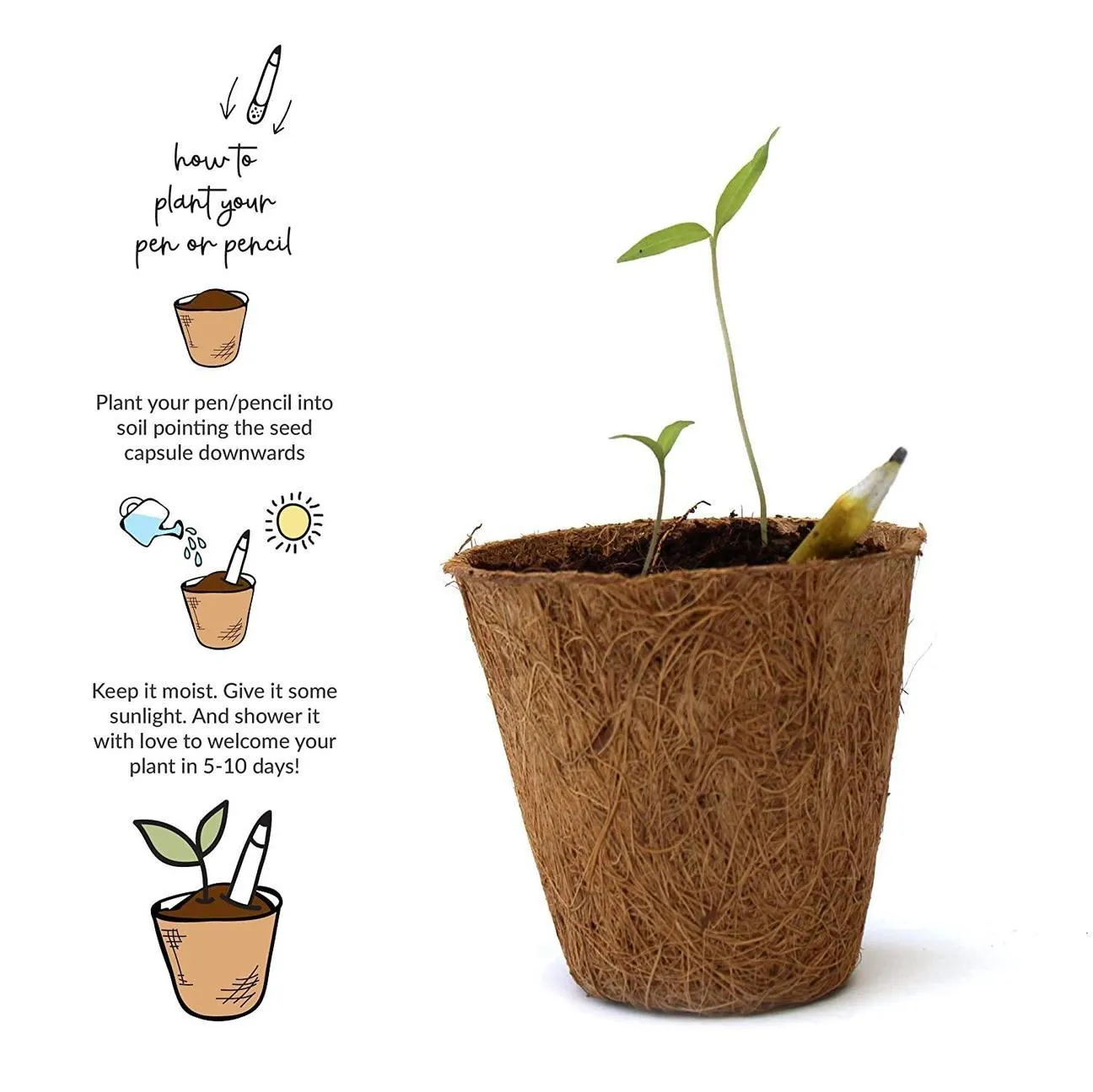 2 2 Plantable Pencils & Pens