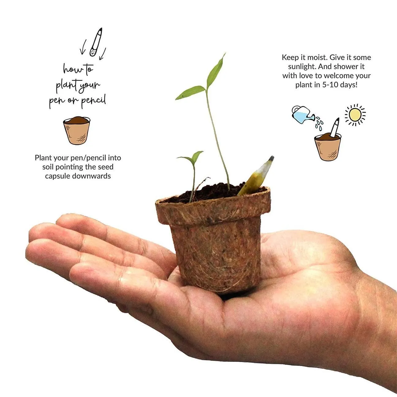 2 2 Plantable Pencils & Pens