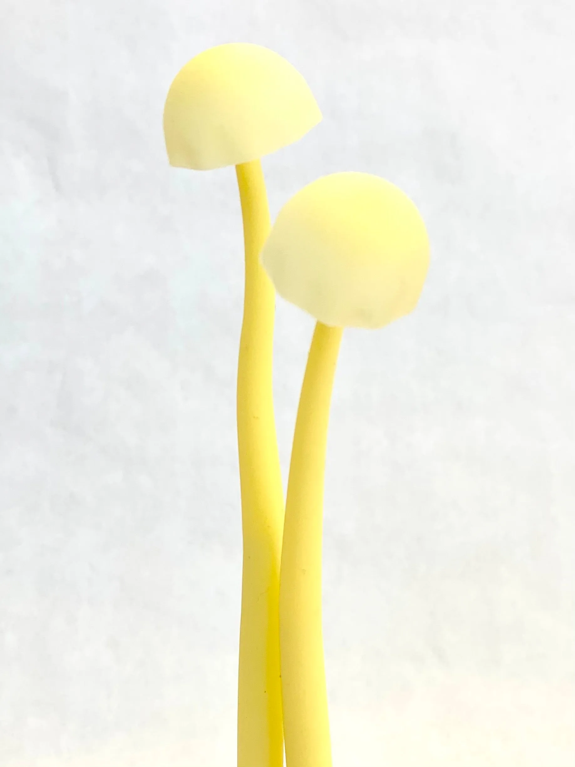 22415 MUSHROOM GLOW IN THE DARK GEL PEN-48