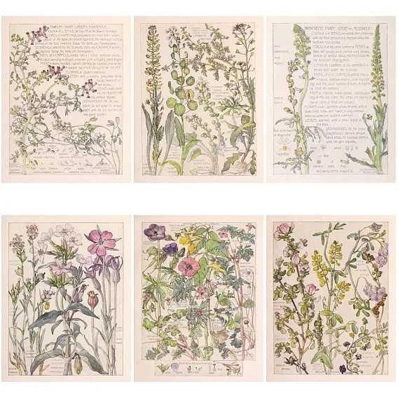 Retro Florals Paper Pad (20 Sheets) (PW-WG648B8-01)